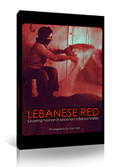 lebanon, haschich
